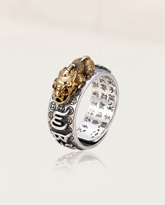 Pixiu Coin Ring