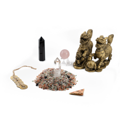 2026 Nine Palaces Flying Stars Starter Bundle